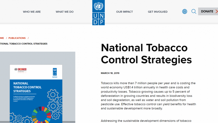 preview of UNDP website